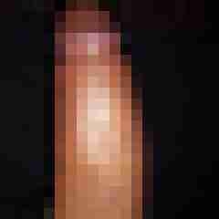 wolffel