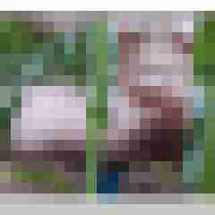 hasehase23