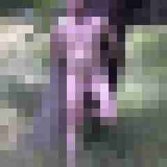 Ithakaer