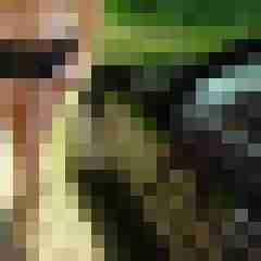 toppoint123