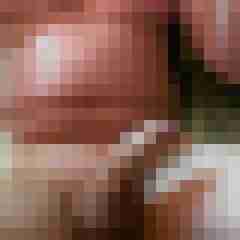 xnasenbaerx