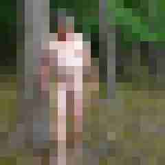pimperion