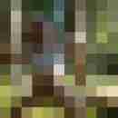 hasenlochx66