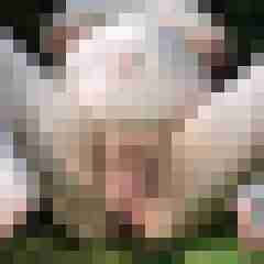 Nylongeiles_Paar