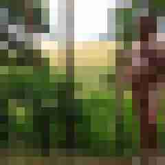pimperion
