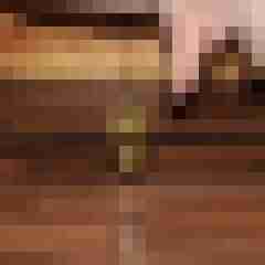 funratte
