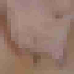 exib1