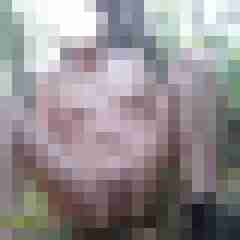 bigbull69