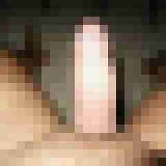 netzelder