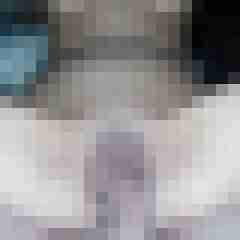 Pe_St2015
