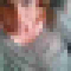 Mistbiene