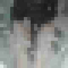 tappi22