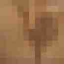 Pichunter66