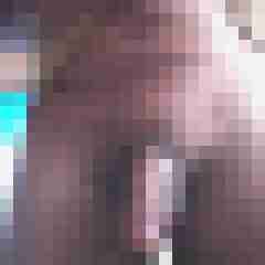 SonyBlack81