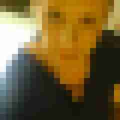 Mistbiene