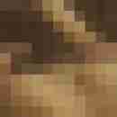 Pichunter66