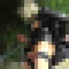 cduli