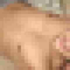 pniz88