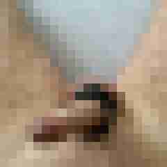 cumlover