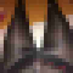 nylonlover15