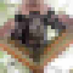 Nylongeiles_Paar