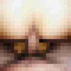 fickpaar55