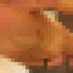 tobi_35