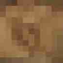 Pichunter66