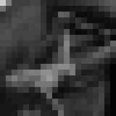 Phorus