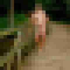 7 Bilder von picshot