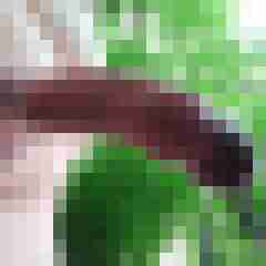 Nylon-X