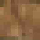 Pichunter66