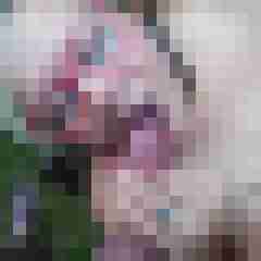 DinamitHerr