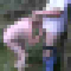 trt