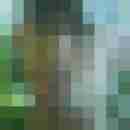 Keule26003