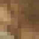 Pichunter66