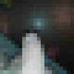 brauner81