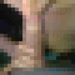 fael