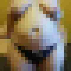 Squirtluder_534