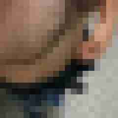 elch72