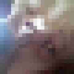 rolfblond