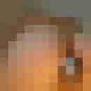 Randy84