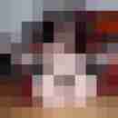 trapun