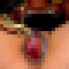 Toddel