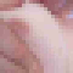exib1