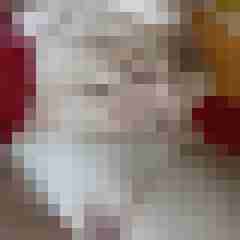 lippe_dt