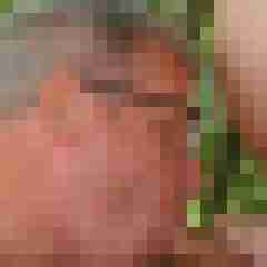robertbilive