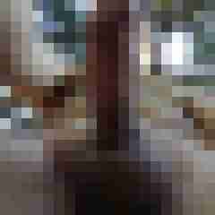 Woodman8