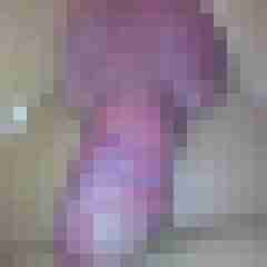 Ammomanuel