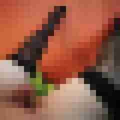 geilerboy09